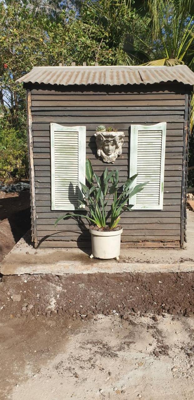 Bed & Breakfast Kruger Allo *